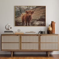 Highland Morning Mist And Stone