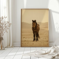 Lone Desert Mustang
