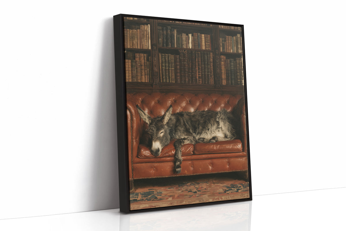 Donkey's Library Nap