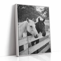Pasture Gate Conversations