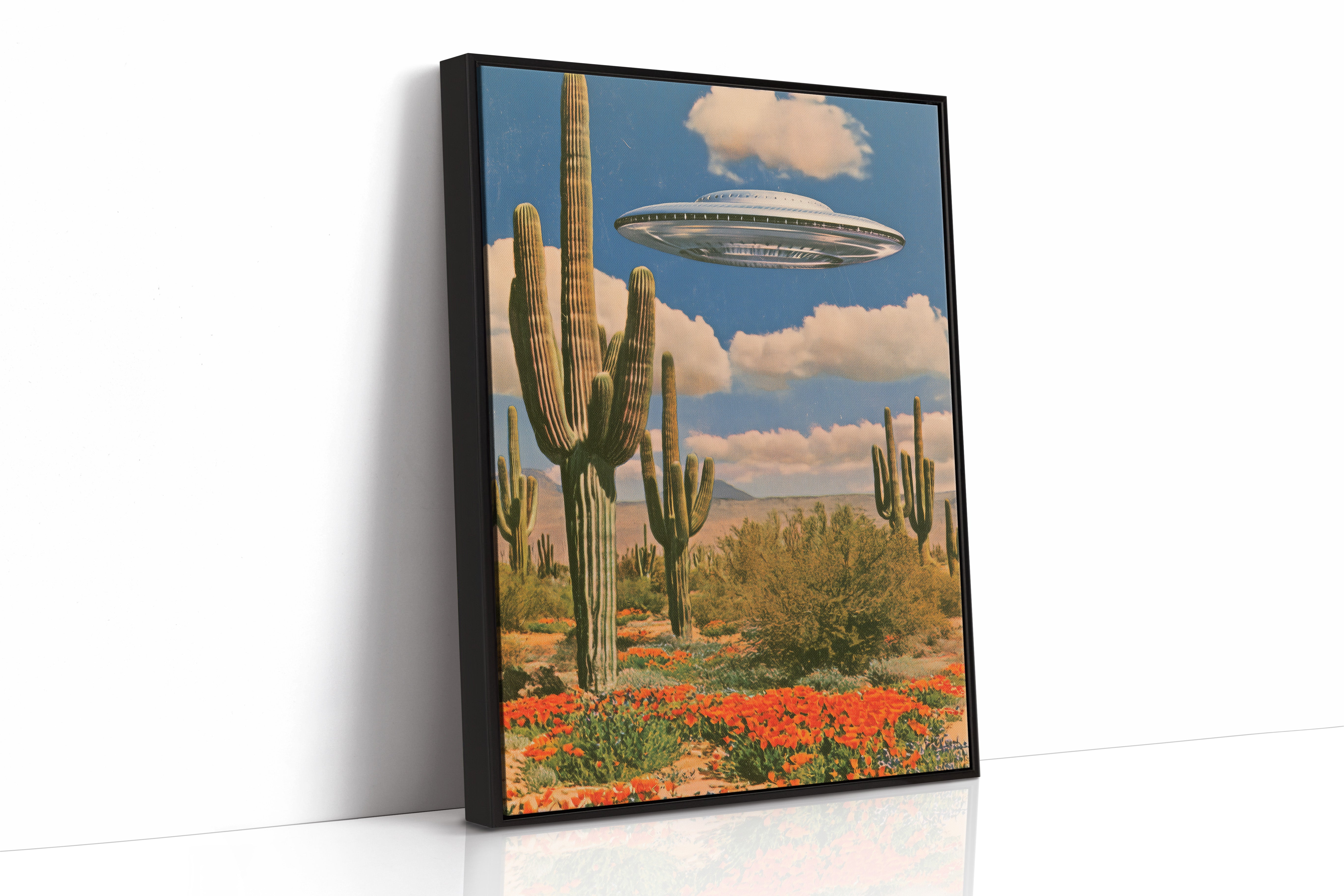 Sightings Over Saguaro Country