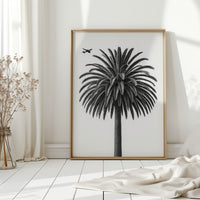 Palm Crown and Passing Plane