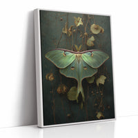 Midnight Moth Among Faded Blooms