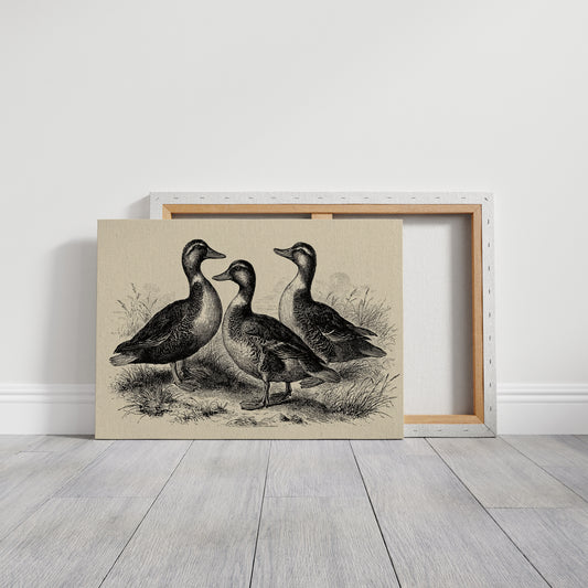 Gathering of Gentle Companions