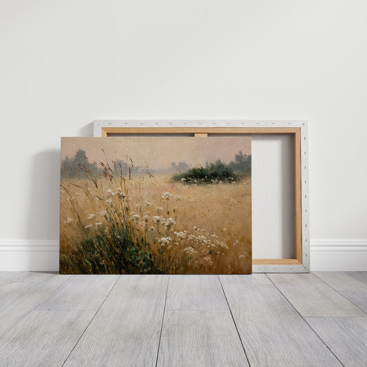 A Field Awash in Light