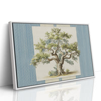 Weathered Olive Tree Study
