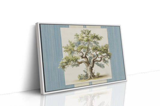 Weathered Olive Tree Study