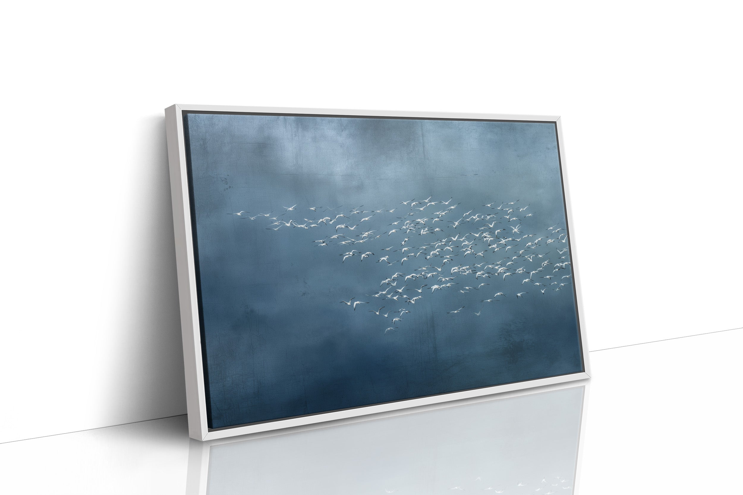 White Wings Across Blue Silence