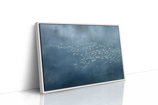 White Wings Across Blue Silence
