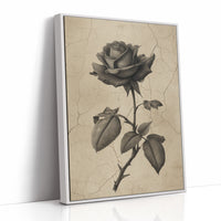 Faded Bloom In Midnight Parlor