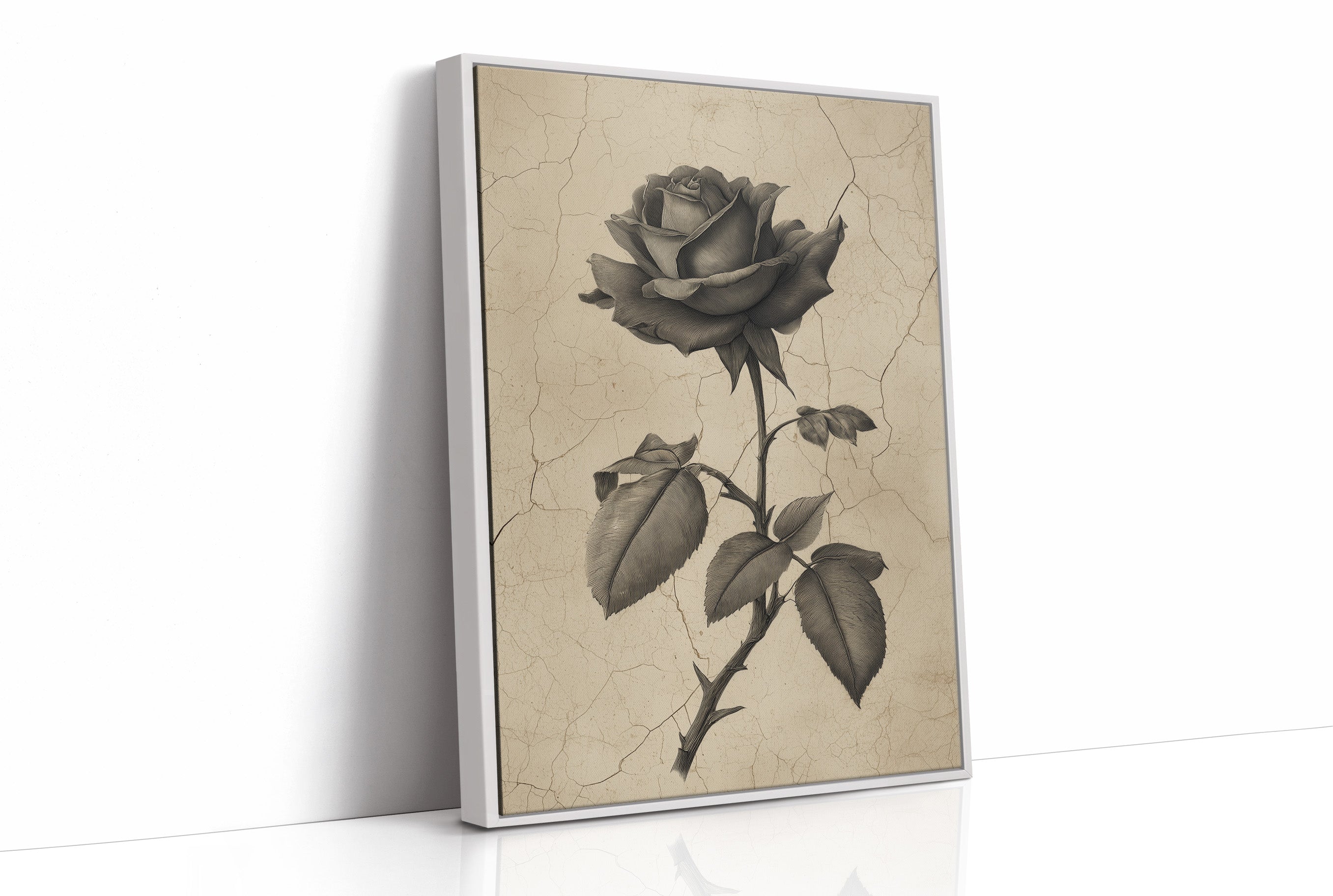 Faded Bloom In Midnight Parlor
