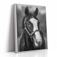 Gentle Spirit