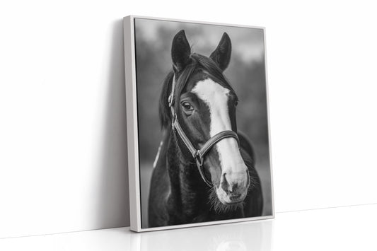 Gentle Spirit