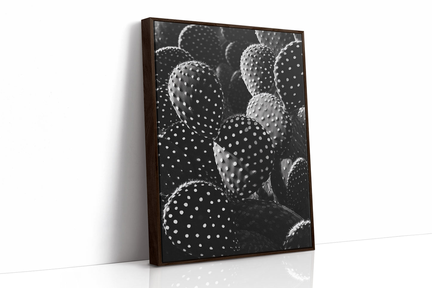 Desert Geometry in Monochrome