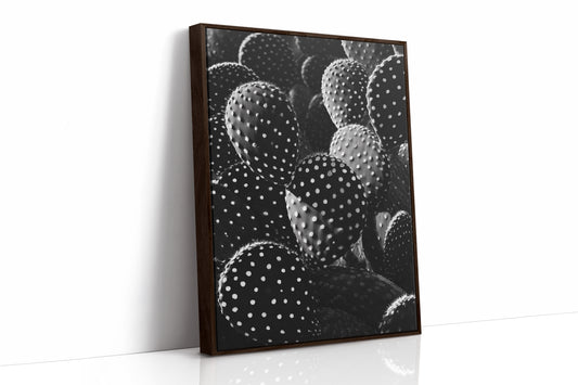Desert Geometry in Monochrome