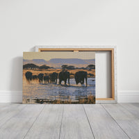 Herd, Crossing at Dusk