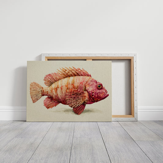 Coral Scorpionfish Study