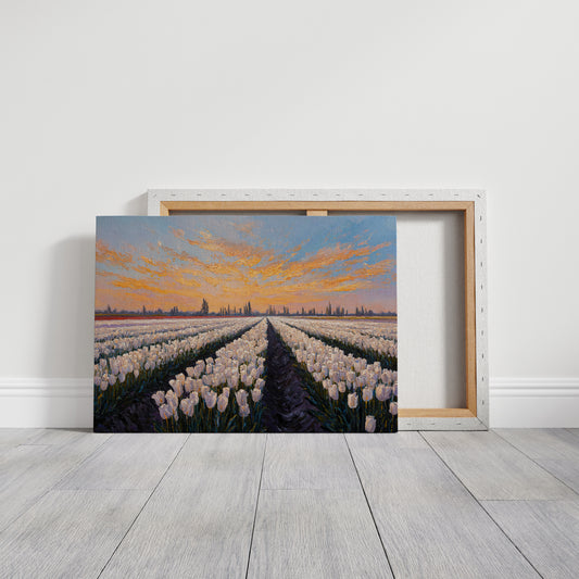 Fields of Light and Bloom