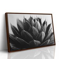Desert Spines Dance In Moonlight