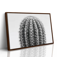 Spines Dance In Silver Light