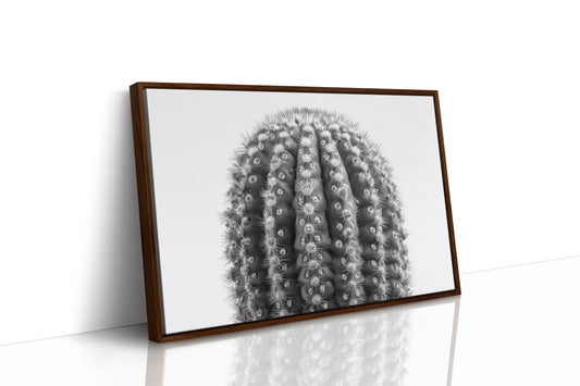 Spines Dance In Silver Light