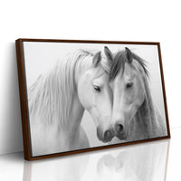 Gentle Souls Share Morning Light