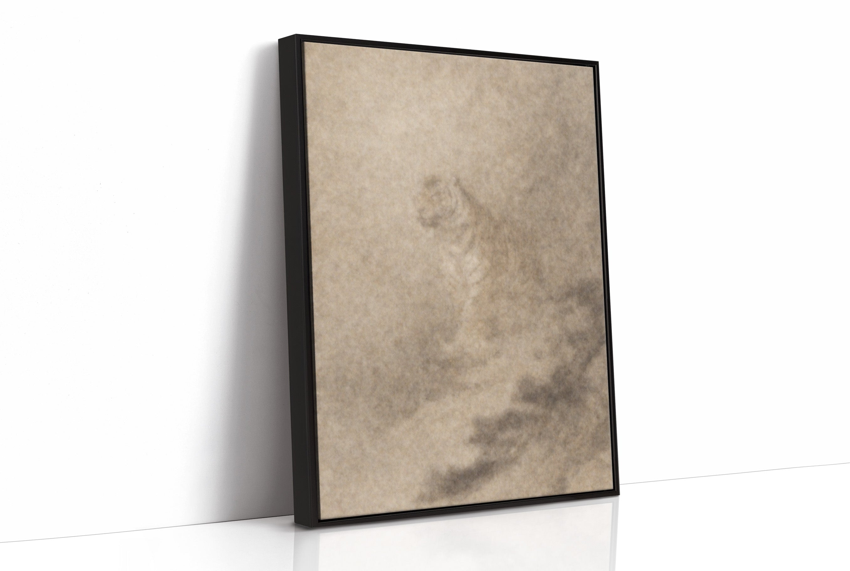 Quiet Corners Collect Morning Stories