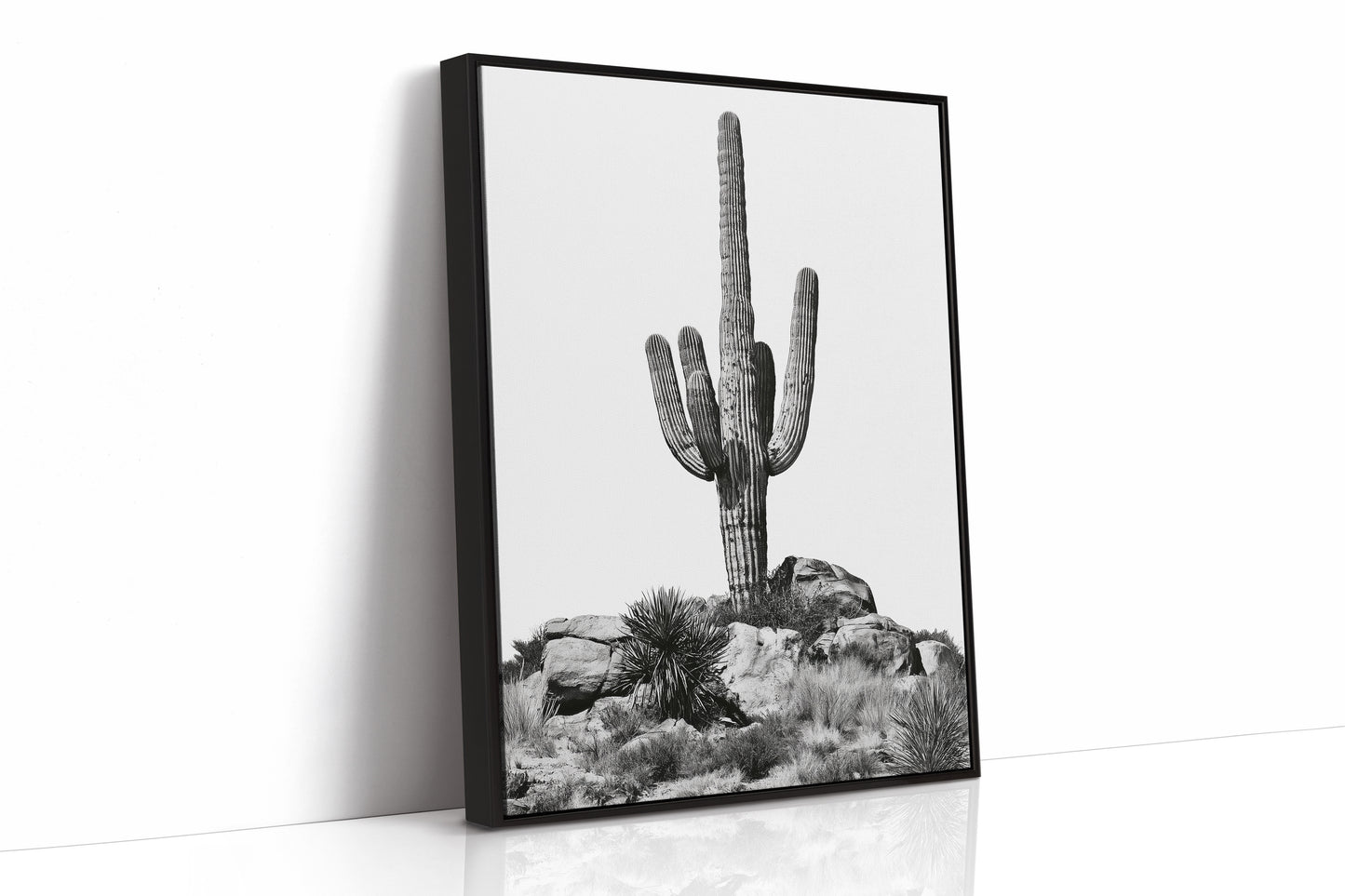 Lone Saguaro Standing Tall