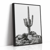 Saguaro Standing Sentinel