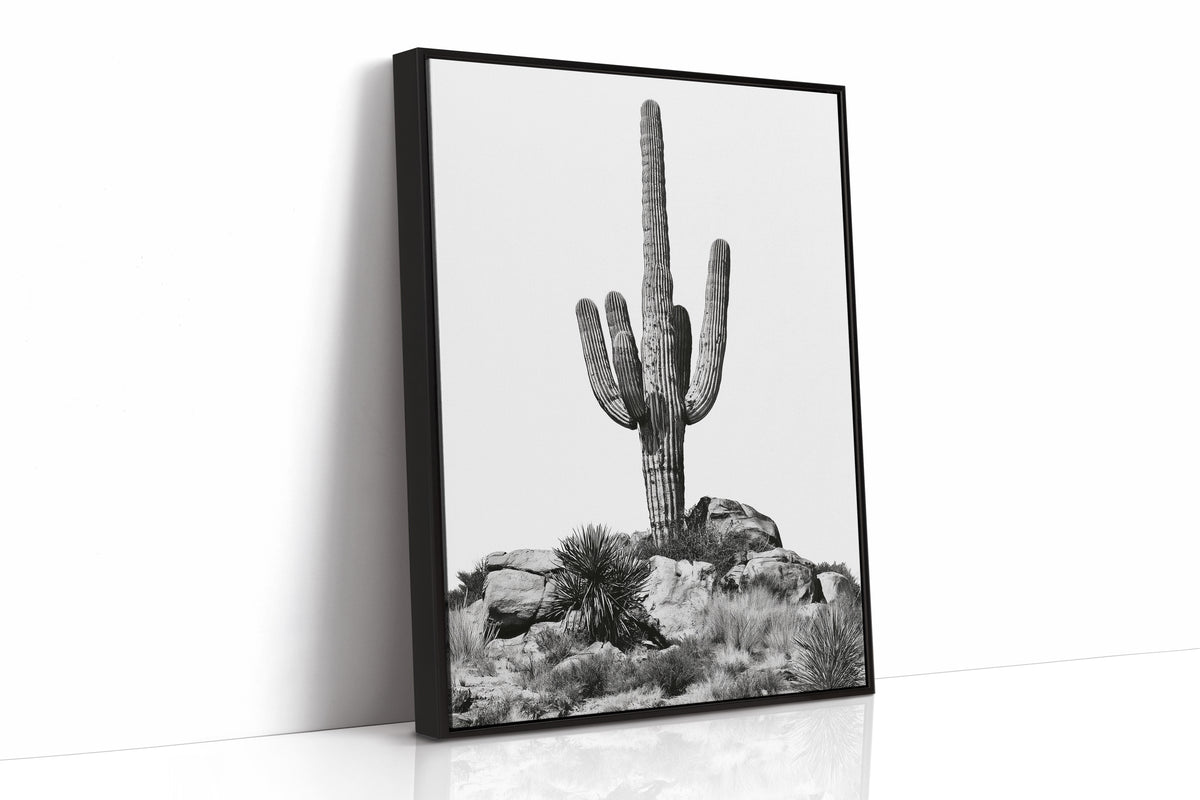 Saguaro Standing Sentinel