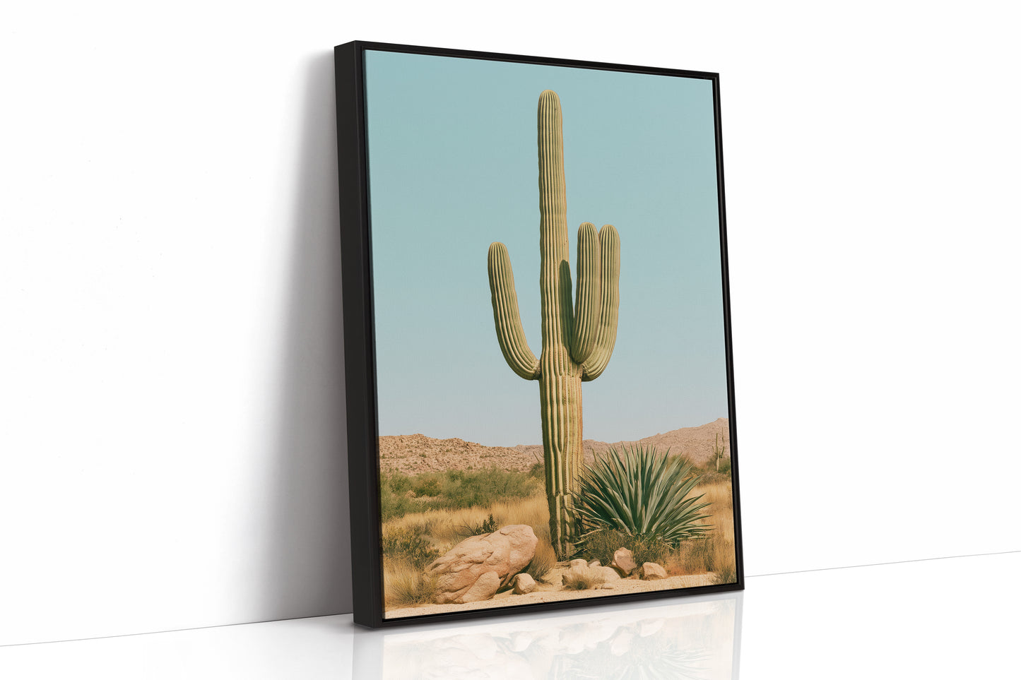 Saguaro Under Turquoise Sky