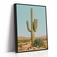 Saguaro Strikes a Film Pose
