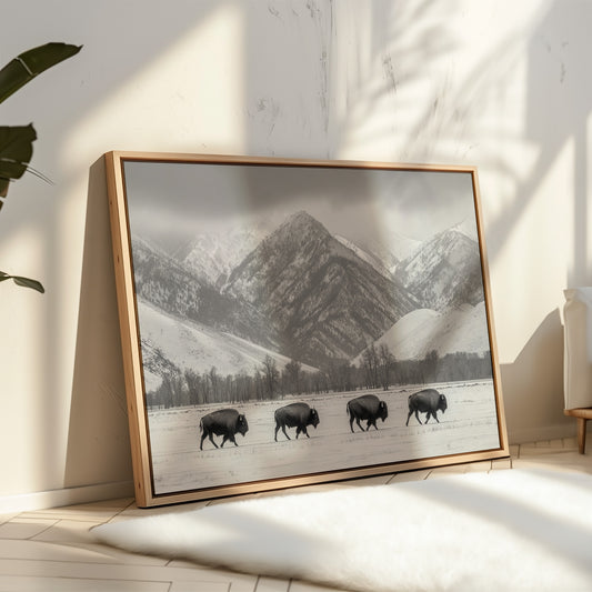 Where the Buffalo Roam