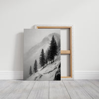 Pines Along the Ridge