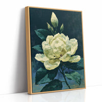 Ivory Bloom in Shadow