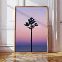 Twilight Palm Reaches For Stars