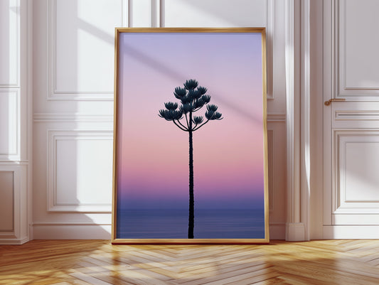Twilight Palm Reaches For Stars