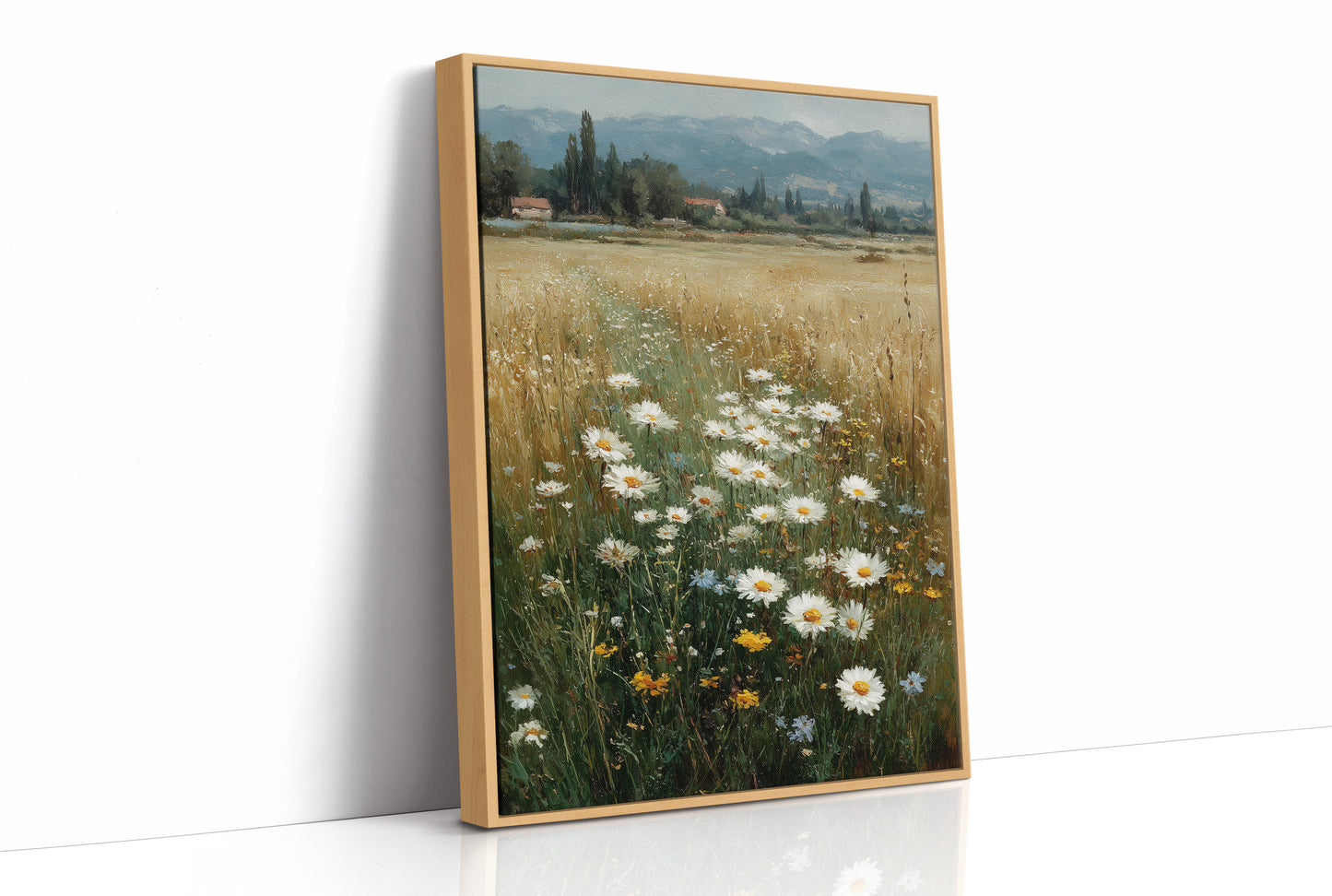 Daisies Where the Wheat Runs Out