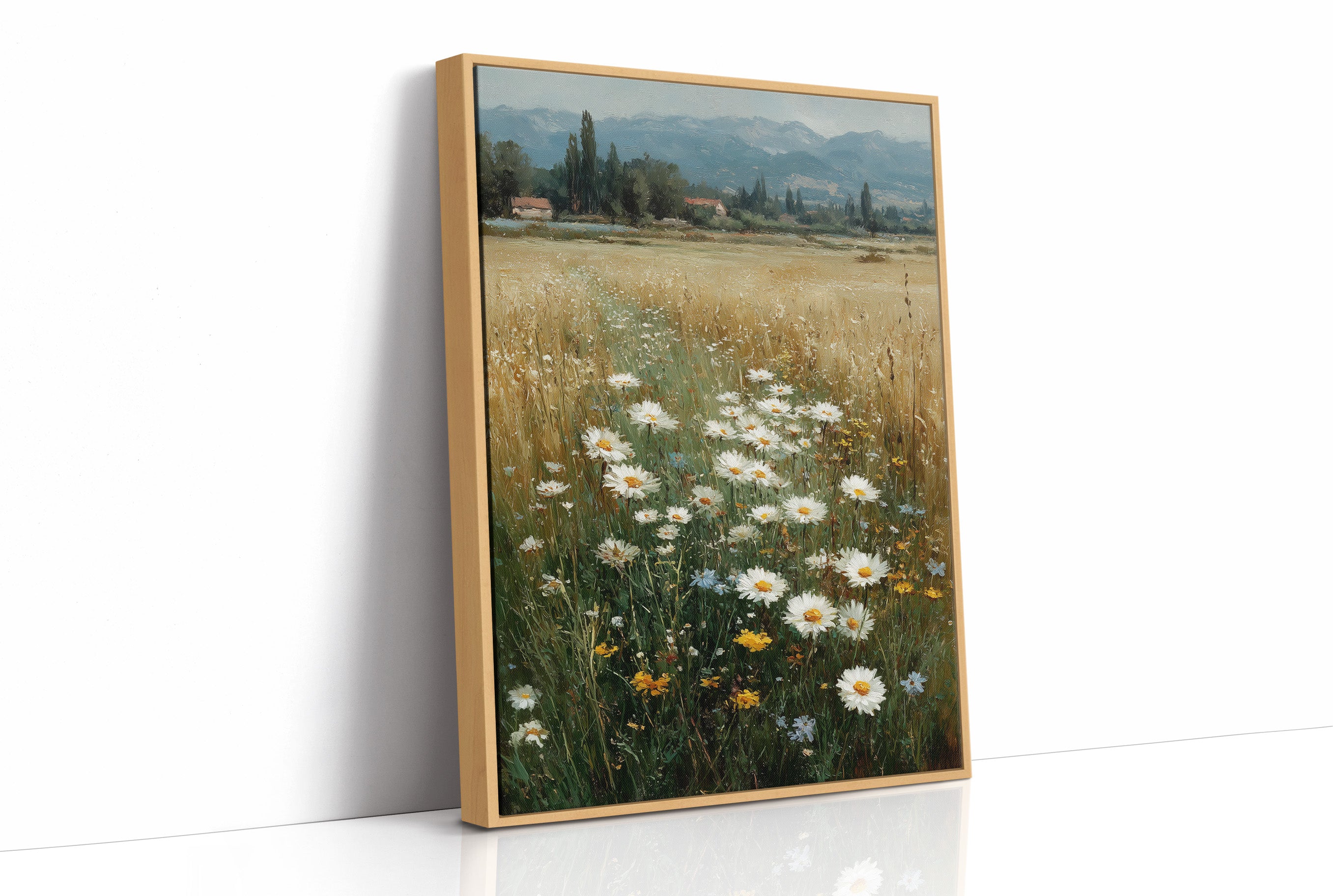 Daisies Where the Wheat Runs Out
