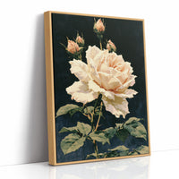 Peach Rose in Midnight