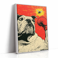 Bulldog Versus Fly Standoff