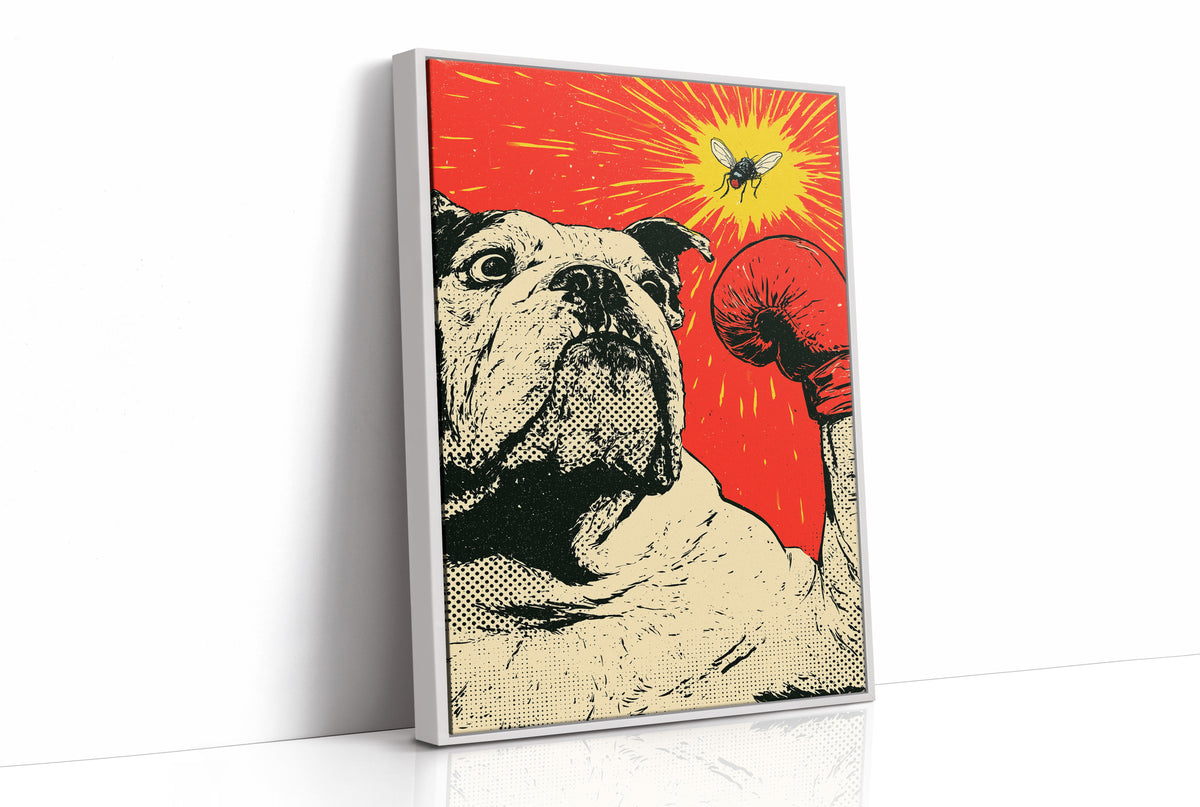 Bulldog Versus Fly Standoff