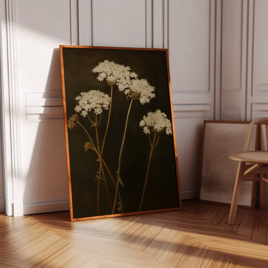 Queen Annes Lace in Late Autumn Light