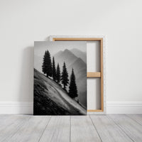Windswept Timberline