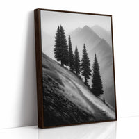 Windswept Timberline