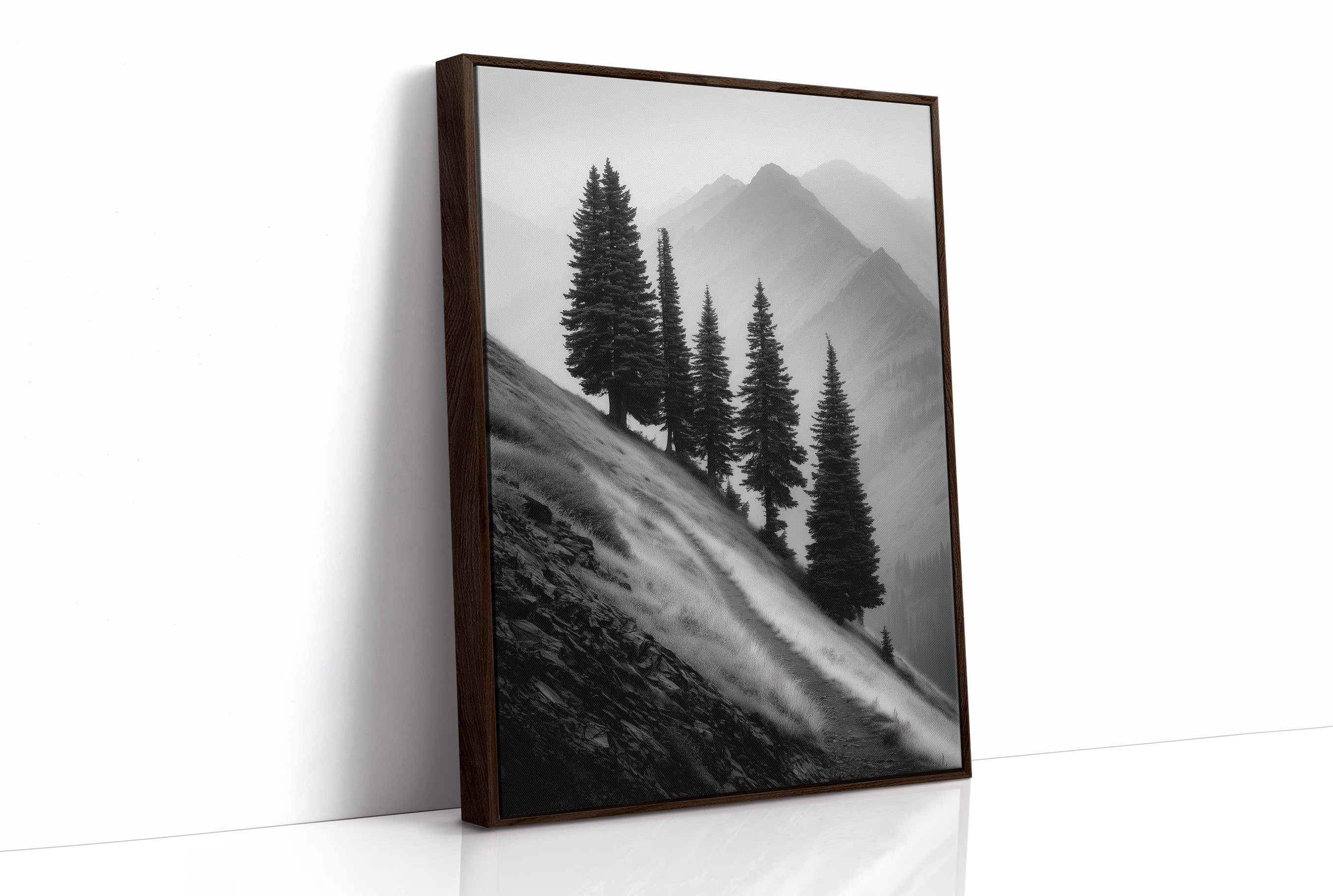 Windswept Timberline