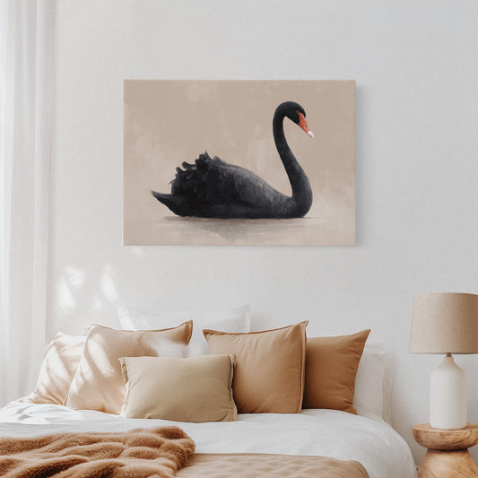 Black Swan Glides Through Blush Dawn