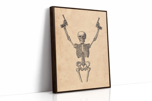 Outlaw Anatomy