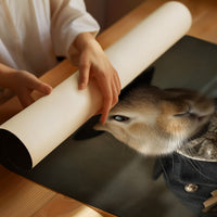 Gentleman Rabbit Reads Poetry Tales