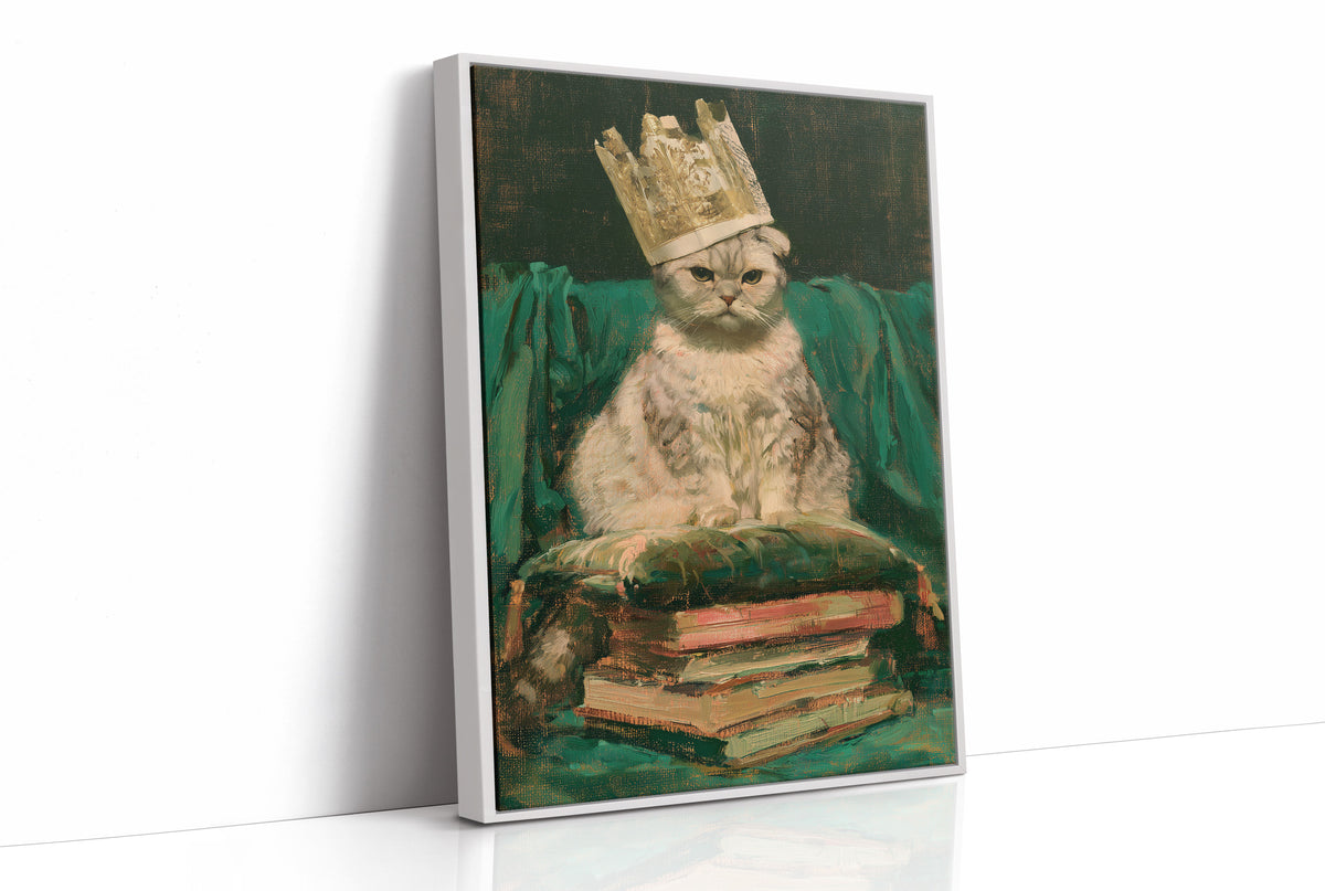 Scottish Fold Cat King